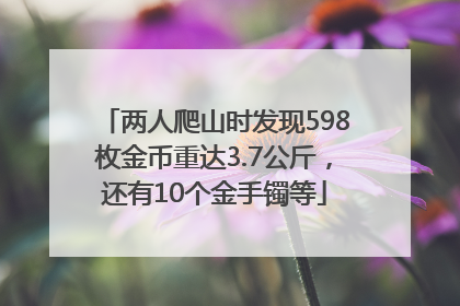 两人爬山时发现598枚金币重达3.7公斤，还有10个金手镯等