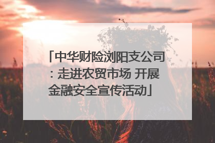 中华财险浏阳支公司：走进农贸市场 开展金融安全宣传活动