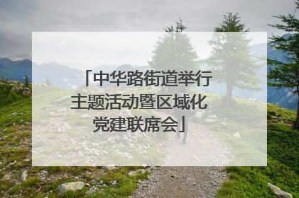 中华路街道举行主题活动暨区域化党建联席会