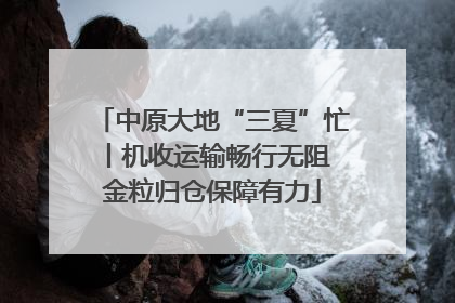 中原大地“三夏”忙丨机收运输畅行无阻 金粒归仓保障有力