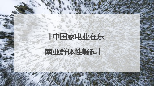 中国家电业在东南亚群体性崛起