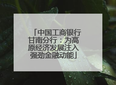 中国工商银行甘南分行：为高原经济发展注入强劲金融动能