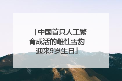 中国首只人工繁育成活的雌性雪豹迎来9岁生日