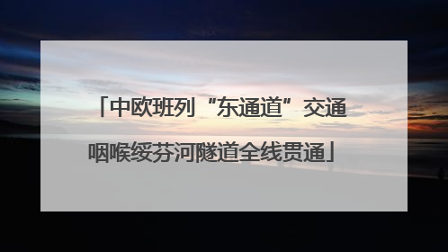 中欧班列“东通道”交通咽喉绥芬河隧道全线贯通