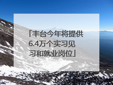 丰台今年将提供6.4万个实习见习和就业岗位