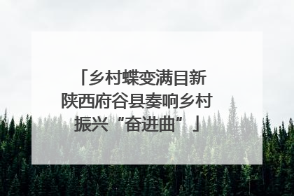 乡村蝶变满目新 陕西府谷县奏响乡村振兴“奋进曲”