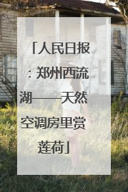 人民日报：郑州西流湖——天然空调房里赏莲荷