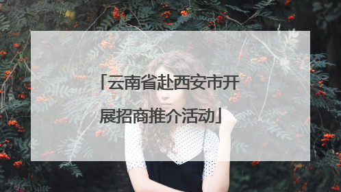 云南省赴西安市开展招商推介活动