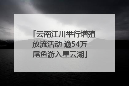 云南江川举行增殖放流活动 逾54万尾鱼游入星云湖