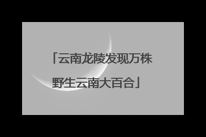 云南龙陵发现万株野生云南大百合