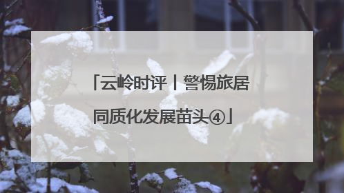 云岭时评丨警惕旅居同质化发展苗头④