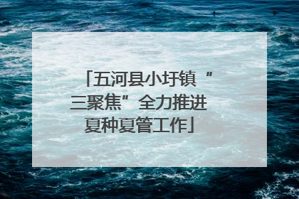 五河县小圩镇“三聚焦”全力推进夏种夏管工作