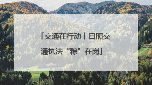 交通在行动丨日照交通执法“粽”在岗