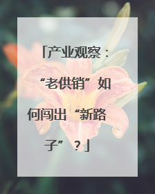 产业观察：“老供销”如何闯出“新路子”？