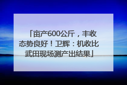 亩产600公斤，丰收态势良好！卫辉：机收比武田现场测产出结果