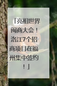 亮相世界闽商大会！洛江7个招商项目在福州集中签约！