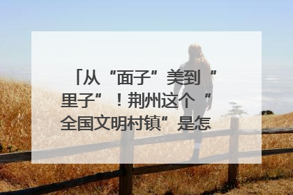从“面子”美到“里子”！荆州这个“全国文明村镇”是怎样炼成的？