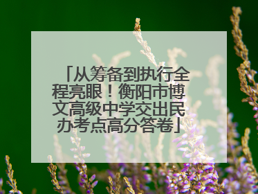 从筹备到执行全程亮眼！衡阳市博文高级中学交出民办考点高分答卷