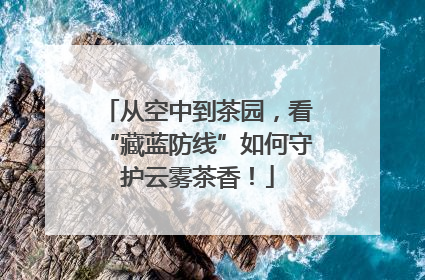 从空中到茶园，看“藏蓝防线”如何守护云雾茶香！