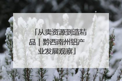 从卖资源到造精品｜黔西南州铝产业发展观察