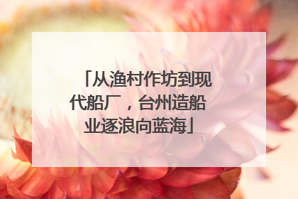 从渔村作坊到现代船厂，台州造船业逐浪向蓝海