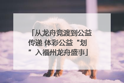 从龙舟竞渡到公益传递 体彩公益“划”入福州龙舟盛事