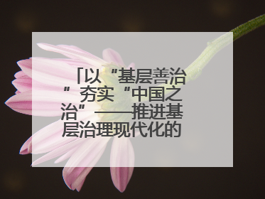 以“基层善治”夯实“中国之治”——推进基层治理现代化的临沂公安实践