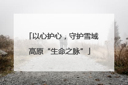 以心护心，守护雪域高原“生命之脉”
