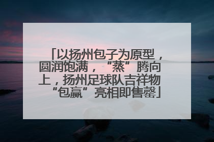 以扬州包子为原型，圆润饱满，“蒸”腾向上，扬州足球队吉祥物“包赢”亮相即售罄