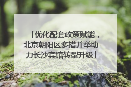 优化配套政策赋能，北京朝阳区多措并举助力长沙宾馆转型升级