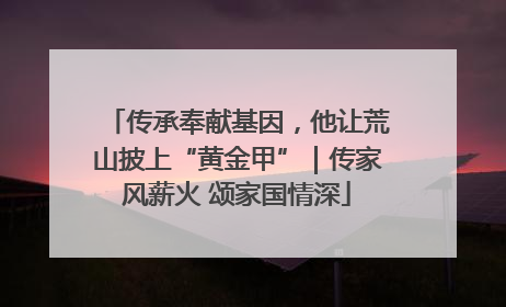 传承奉献基因，他让荒山披上“黄金甲”｜传家风薪火 颂家国情深