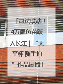 司法联动！4万尾鱼苗跃入长江｜“天平杯·随手拍”作品展播