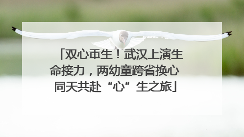 双心重生！武汉上演生命接力，两幼童跨省换心同天共赴“心”生之旅