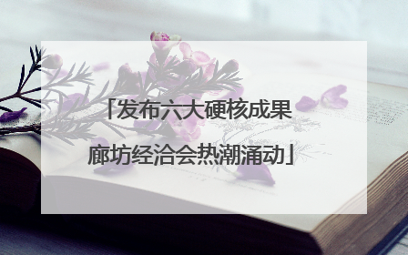 发布六大硬核成果 廊坊经洽会热潮涌动