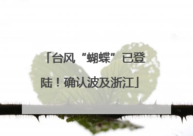 台风“蝴蝶”已登陆！确认波及浙江