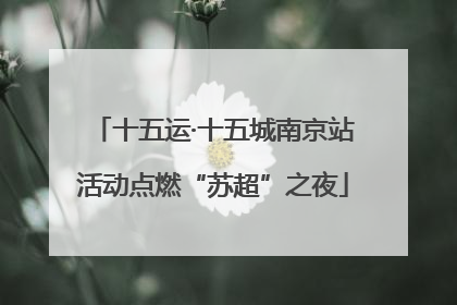 十五运·十五城南京站活动点燃“苏超”之夜