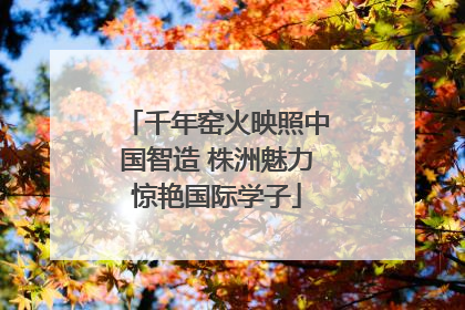 千年窑火映照中国智造 株洲魅力惊艳国际学子