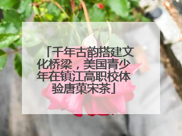 千年古韵搭建文化桥梁，美国青少年在镇江高职校体验唐菓宋茶