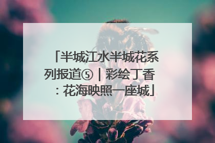 半城江水半城花系列报道⑤｜彩绘丁香：花海映照一座城