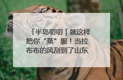 半岛叨叨｜就这样把你“蒸”服！当拉布布的风刮到了山东馒头界……