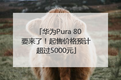 华为Pura 80要来了！起售价格预计超过5000元
