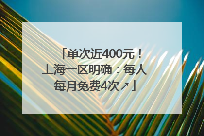 单次近400元！上海一区明确：每人每月免费4次↗