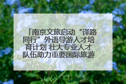 南京文旅启动“译路同行”外语导游人才培育计划 壮大专业人才队伍助力重要国际旅游目的地建设