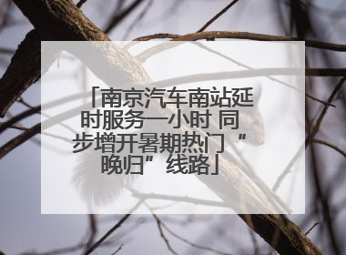 南京汽车南站延时服务一小时 同步增开暑期热门“晚归”线路