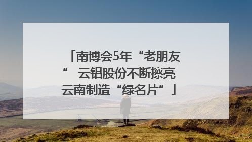 南博会5年“老朋友” 云铝股份不断擦亮云南制造“绿名片”