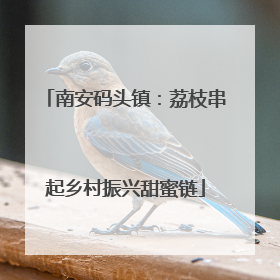 南安码头镇：荔枝串起乡村振兴甜蜜链