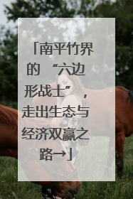 南平竹界的 “六边形战士”，走出生态与经济双赢之路→