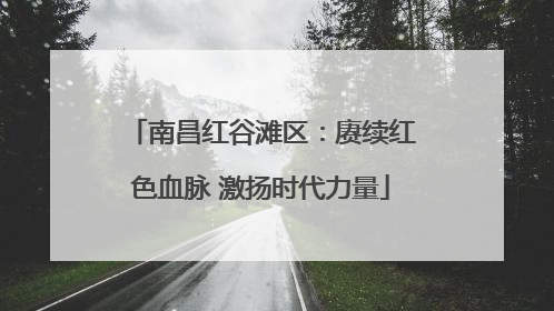 南昌红谷滩区：赓续红色血脉 激扬时代力量