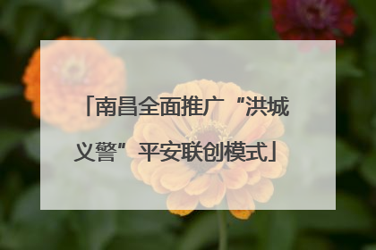 南昌全面推广“洪城义警”平安联创模式