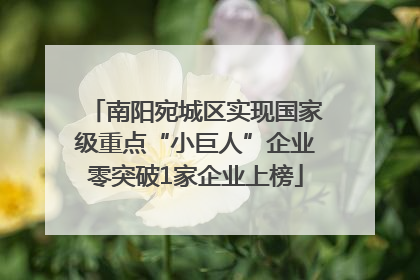 南阳宛城区实现国家级重点“小巨人”企业零突破1家企业上榜